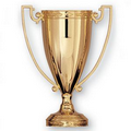 Die Cast Metal Trophy Cup (10 1/4")